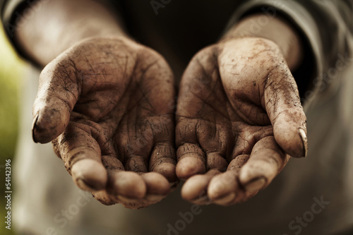 Photo: farmer hands. farmer hands.