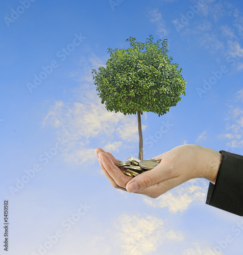 Photo: Investment to agriculture Investment to agriculture