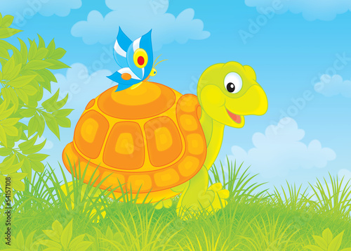 Illustration: tortoise walking with a small butterfly tortoise walking with a small butterfly