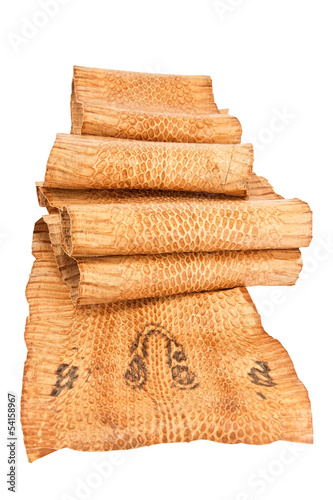 Photo: Snake leather Snake leather