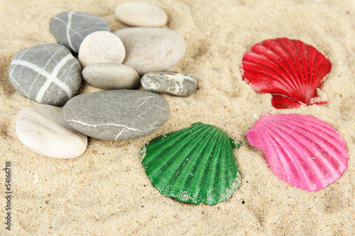 Photo: Colorful seashells on sand background Colorful seashells on sand background