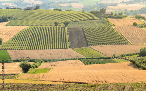 Photo: Campagna romagnola Campagna romagnola