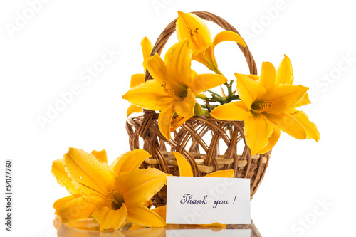 Photo: yellow lily yellow lily