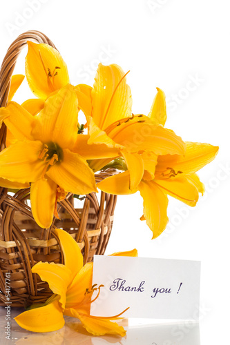 Photo: yellow lily yellow lily
