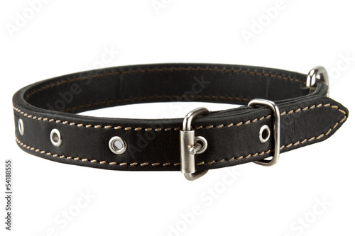 Photo: black leather dog collar black leather dog collar