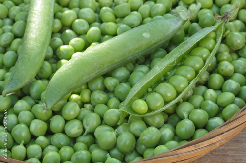 Photo: pois merveille de Kelvedon pois merveille de Kelvedon