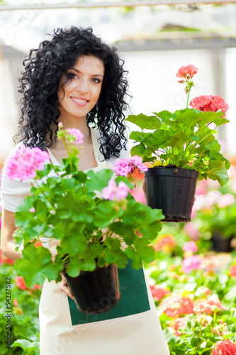Photo: Greenhouse employee Greenhouse employee