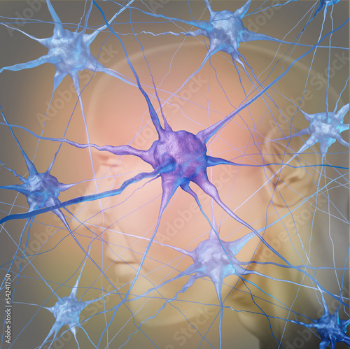 Illustration: Human Neurons Human Neurons