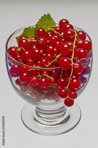 Photo: Rote Johannisbeeren Rote Johannisbeeren