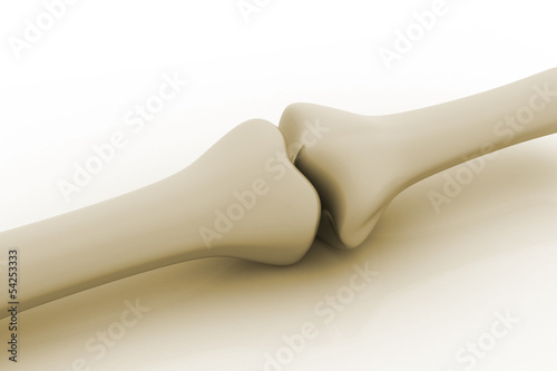 Illustration: human knee human knee