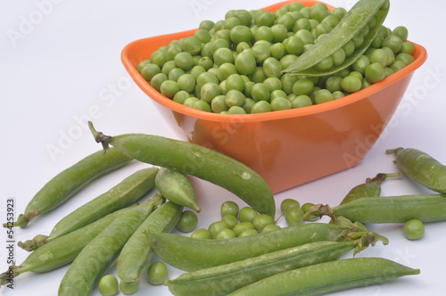 Photo: pois merveille de Kelvedon pois merveille de Kelvedon