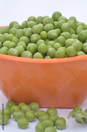 Photo: pois merveille de Kelvedon pois merveille de Kelvedon