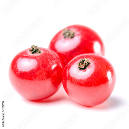 Photo: rote Johannisbeeren isoliert vor weiß rote Johannisbeeren isoliert vor weiß