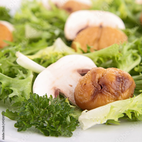 Photo: salad with mushroom and chestnut salad with mushroom and chestnut