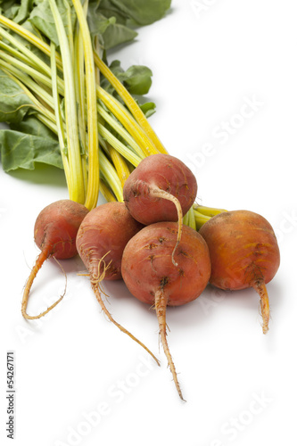 Photo: Fresh yellow beets Fresh yellow beets