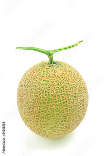 Photo: Muskmelon Muskmelon