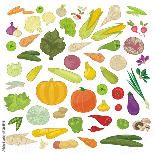 Vector: Various Vegetables Set Various Vegetables Set