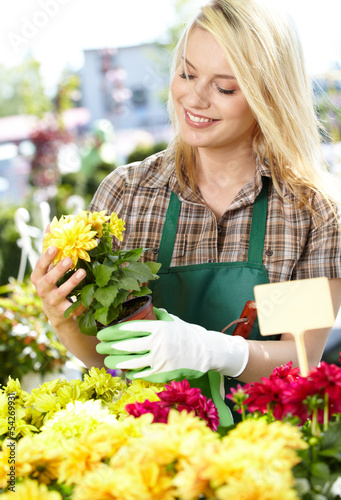 Photo: Florists woman working with flowers at a greenhouse. Florists woman working with flowers at a greenhouse.