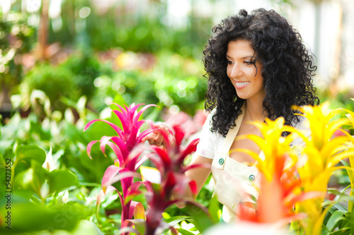 Photo: Greenhouse employee Greenhouse employee