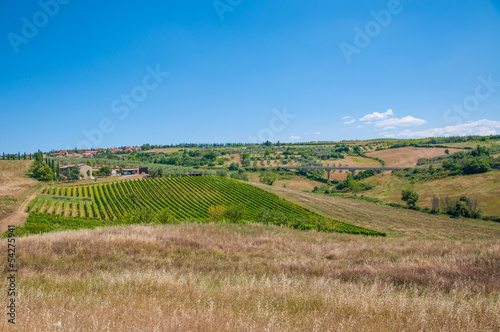 Photo: panorama della val d'orcia panorama della val d'orcia