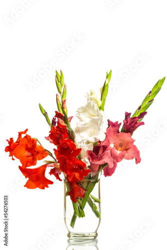 Photo: red and white gladioli in a vase red and white gladioli in a vase