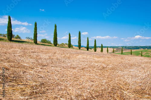 Photo: campagna in val d'orcia campagna in val d'orcia