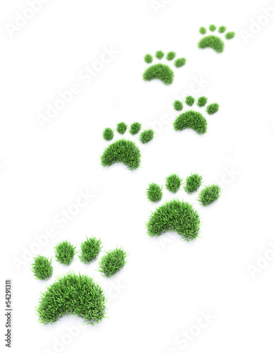 Illustration: Grass pet paws Grass pet paws
