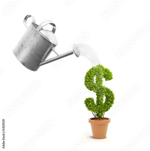 Illustration: A pot plant shaped like a dollar sign A pot plant shaped like a dollar sign