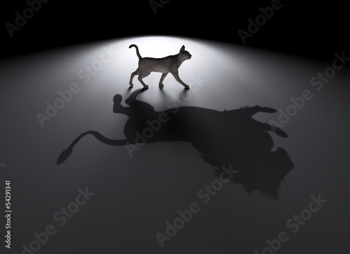 Illustration: Small cat with a big dream Small cat with a big dream
