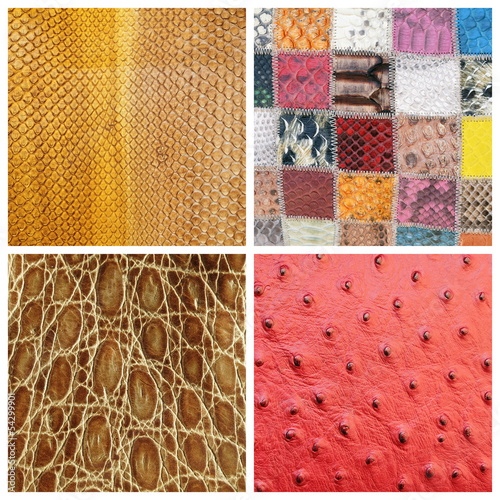 Photo: various fine leather samples collage various fine leather samples collage