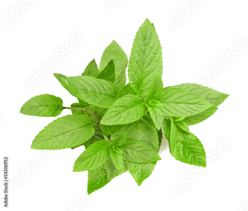 Photo: Mint Mint