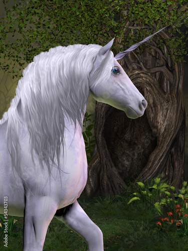 Illustration: Unicorn Horse Unicorn Horse