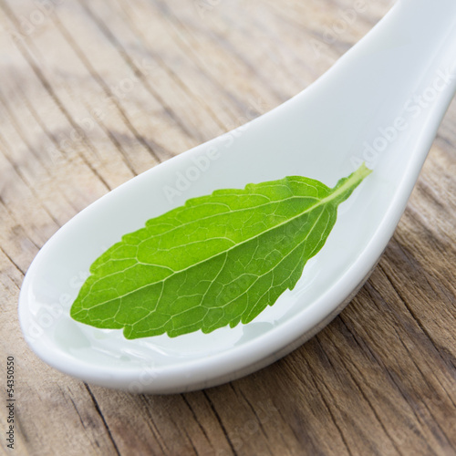 Photo: Stevia Stevia