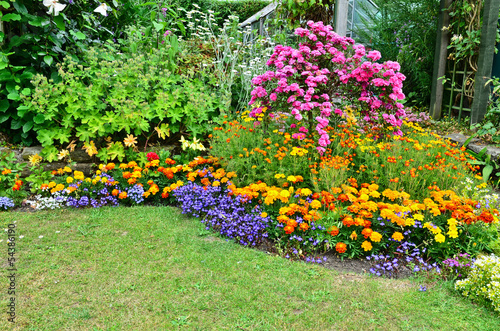 Photo: Summertime garden Summertime garden