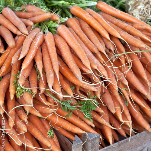 Photo: biologisch angebaute Möhren biologisch angebaute Möhren