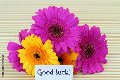 Photo: Good luck note with colorful gerbera daisies Good luck note with colorful gerbera daisies
