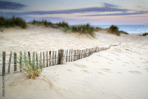Photo: Grassy sand dunes landscape at sunrise Grassy sand dunes landscape at sunrise