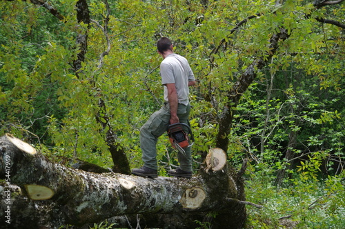 Photo: bucheron - abattage d'arbre bucheron - abattage d'arbre