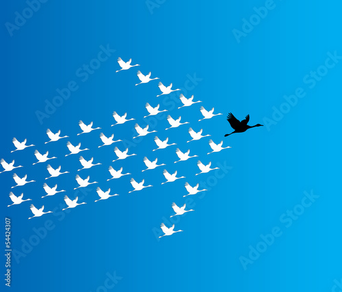 Vector: Leadership Synergy Concept Swans flying - deep blue sky - arrow Leadership Synergy Concept Swans flying - deep blue sky - arrow