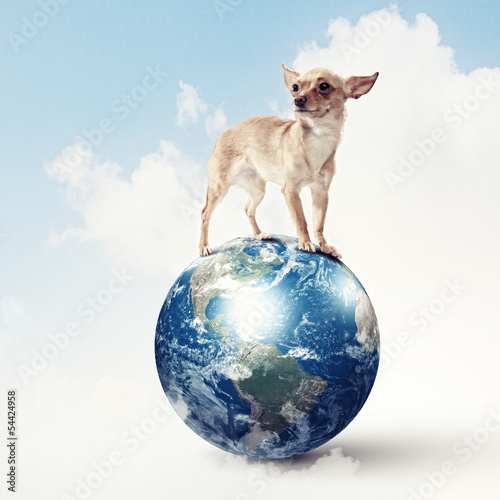 Photo: Dog with the Earth. Dog with the Earth.