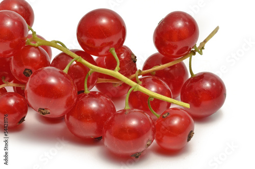 Photo: Rote Johannisbeeren Rote Johannisbeeren