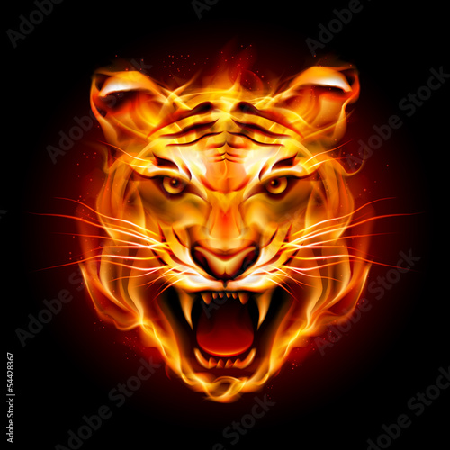 Vector: Head of a tiger in flame Head of a tiger in flame