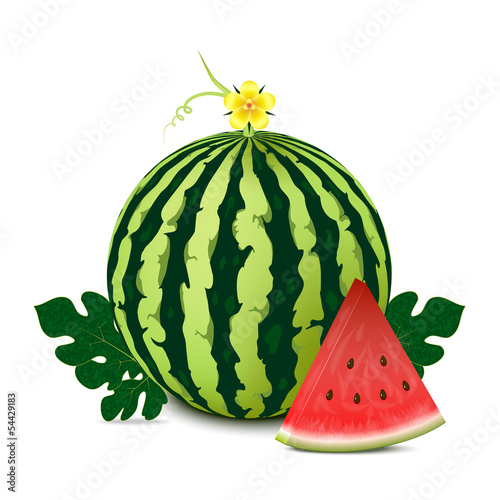 Vector: Whole watermelon with slice and leaves.Vector illustration. Whole watermelon with slice and leaves.Vector illustration.