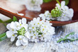 Spa white flowers and spa sea salt Spa white flowers and spa sea salt
