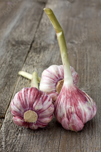 Photo: garlic garlic