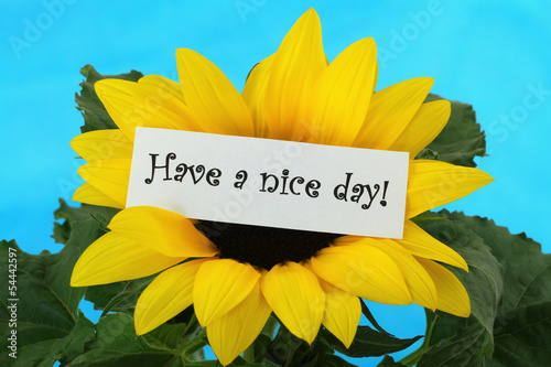 Photo: Have a nice day note on sunflower Have a nice day note on sunflower