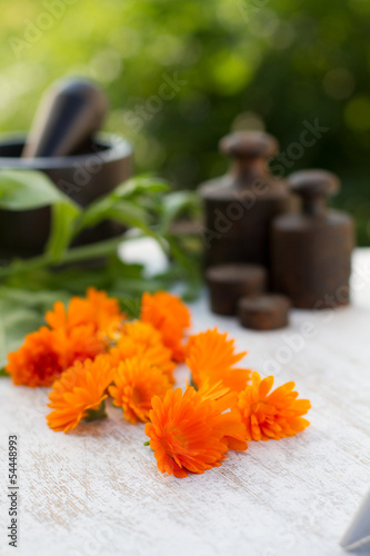 Photo: Ringelblumensalbe Ringelblumensalbe