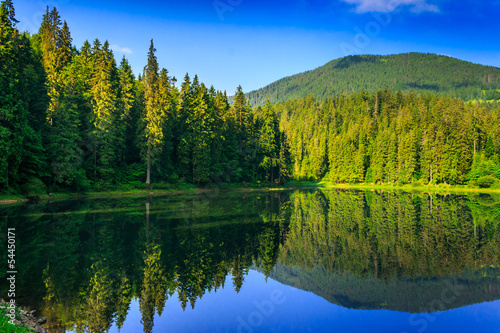 Photo: freshness near forest freshness near forest