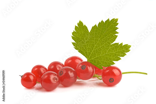 Photo: Red currant. Red currant.