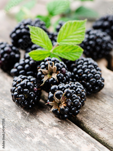 Photo: Brombeeren Brombeeren